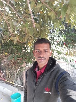 Sitanath Kar